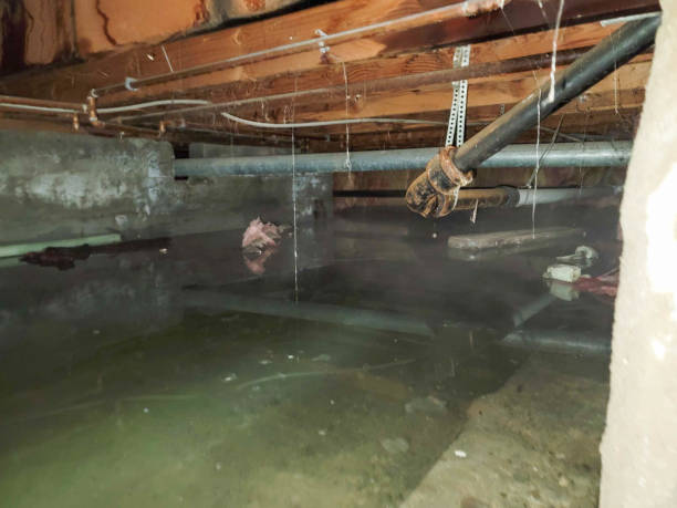 Water damage restoration experts in White Center, WA