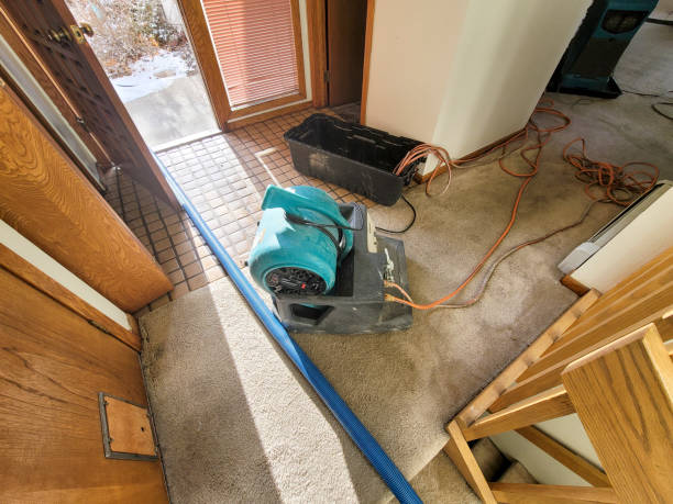 Best Carpet water damage restoration  in White Center, WA