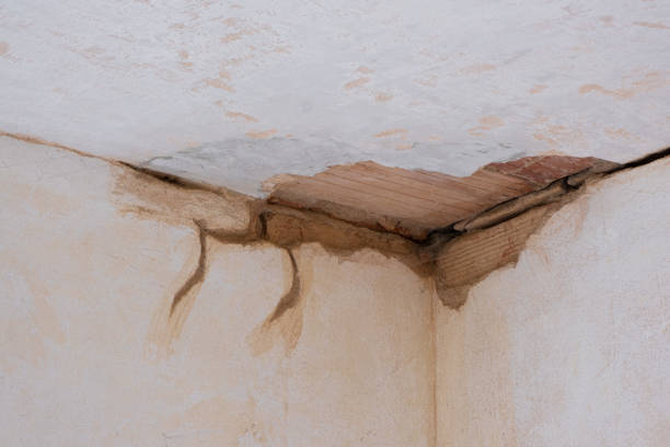Best Sewage cleanup and water damage restoration  in White Center, WA