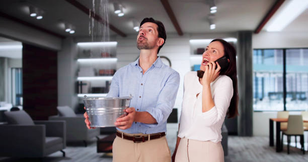 Best Water damage restoration near me  in White Center, WA